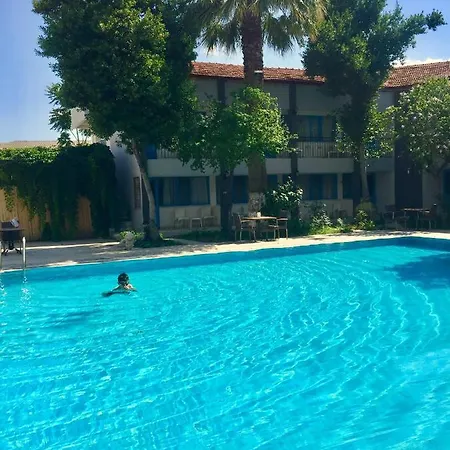 Artemis Yoeruek - Denizli