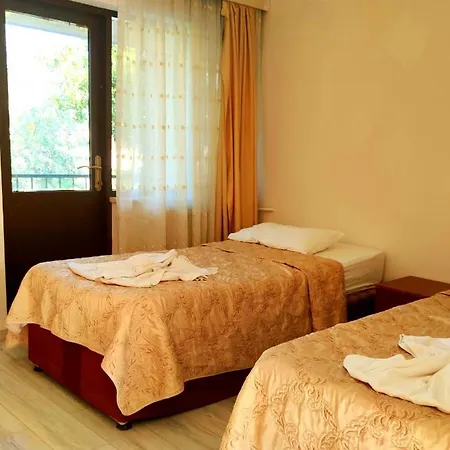 Artemis Yoeruek - Denizli *