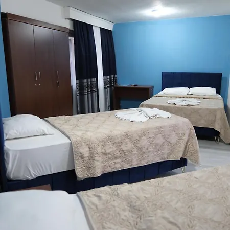 Hotel Artemis Yoeruek - Denizli