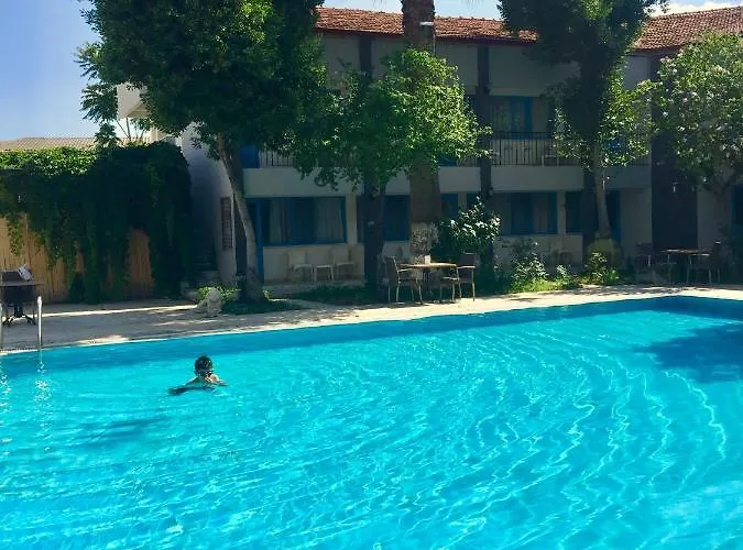 Artemis Yoeruek - Denizli