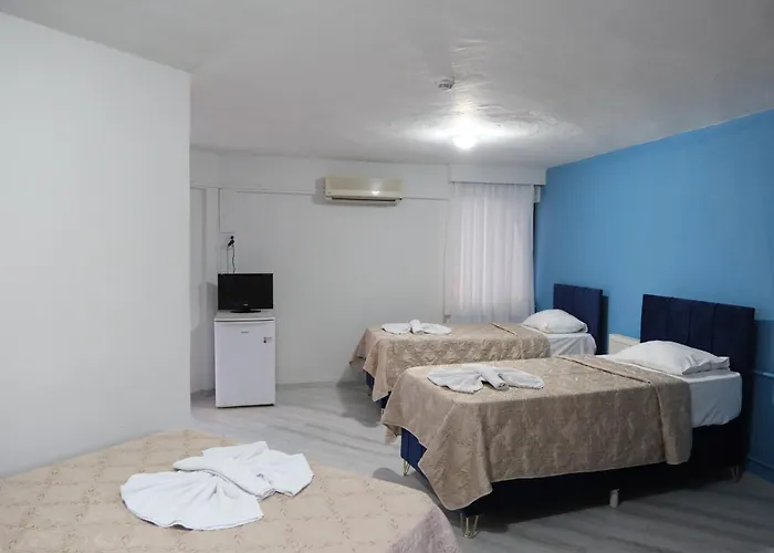 Hotel Artemis Yoeruek - Denizli