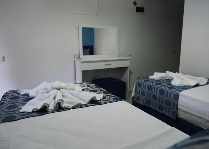 Hotel Artemis Yoeruek - Denizli *