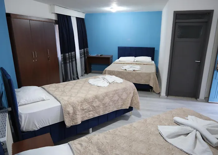 Artemis Yoeruek - Denizli